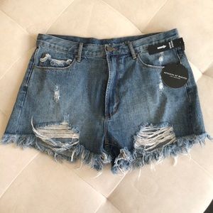 Articles of Society Denim Cutoffs